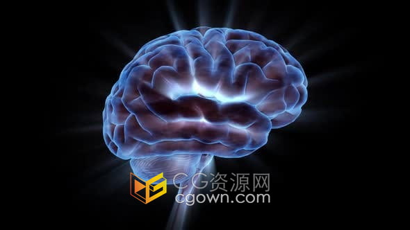 视频素材-3D人体大脑旋转影像素材制作医学科学人脑功能解剖动画