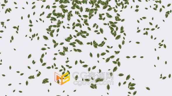 視頻素材-白色背景上漫天飄落下的綠葉生態(tài)健康環(huán)保自然草藥宣傳素材