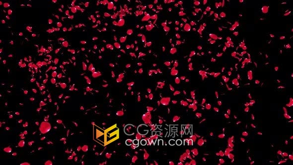 4K视频素材-爆炸散开玫瑰花瓣动画透明通道合成特效素材