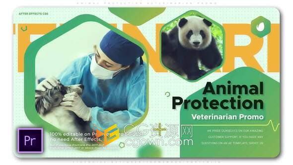 AE/PR模板-动物救援濒危物种环境保护公益宣传片兽医宠物医院介绍