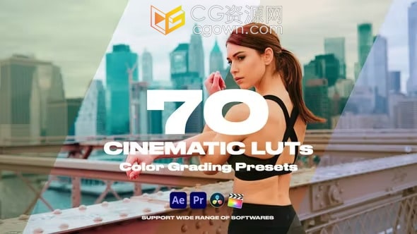 Cinematic LUTs Vol.1 70种电影调色预设cube文件