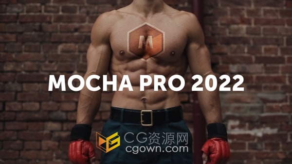 Mocha Pro 2022.5 v9.5.5跟踪软件与Adobe/OFX插件版