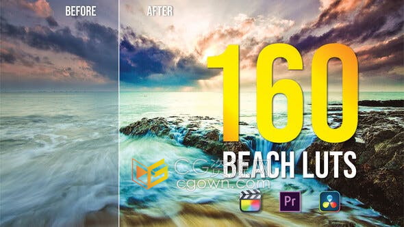 160种海滩风格调色LUT颜色分级包括DaVinciResolve/AE/PR使用视频教程