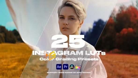 25个漂亮的LUTS调色广泛用于社交媒体短视频广告电影婚礼剪辑