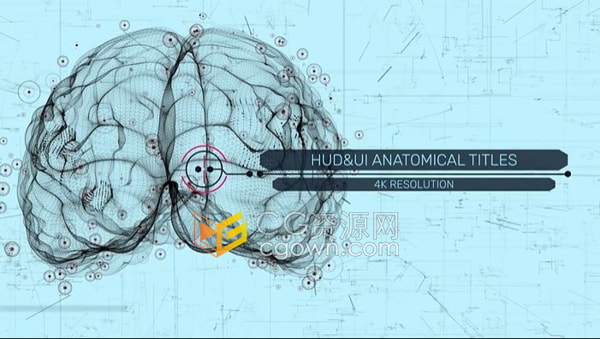 AE模板-HUD UI人体解剖大脑头骨肺和躯干场景演示标题动画医学解说文本