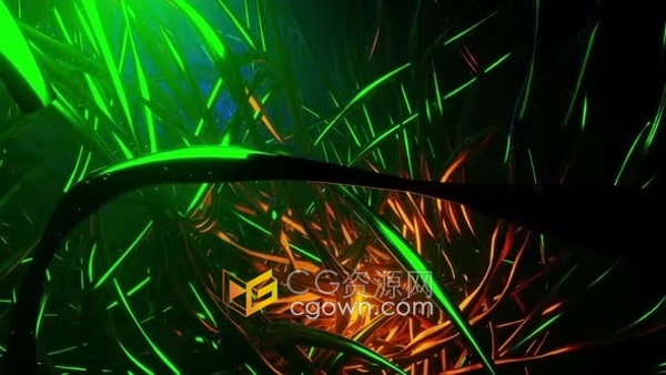 海底世界抽象生物霓虹燈場景動畫背景視頻素材下載