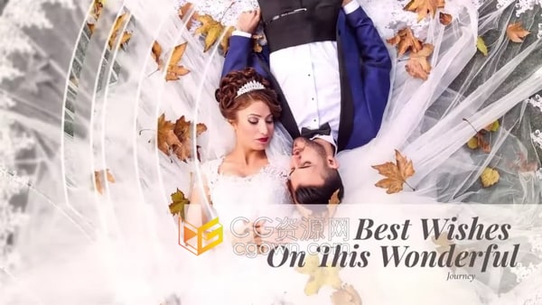 磨砂玻璃遮罩效果华丽优雅甜蜜浪漫婚礼纪录视频相册PR模板