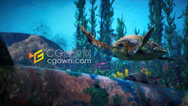 3D渲染水下场景乌龟沿着海底游泳动画视频素材下载