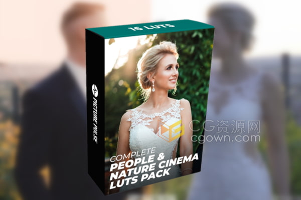 16个人物肖像与自然主题婚礼电影LUT调色预设免费下载