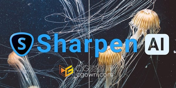 Topaz Labs Sharpen AI 4.0.2 人工智能图像锐化软件