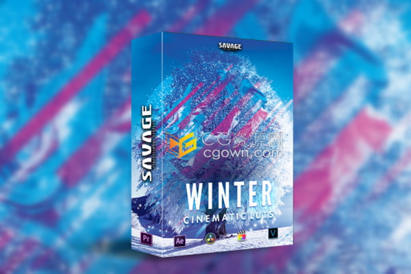 WINTER LUTS PACK冬季户外场景调色预设滤镜素材免费下载