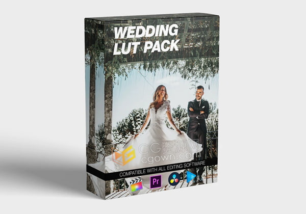 15个实用婚礼视频场景LUT调色预设包Cube文件格式