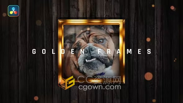 达芬奇模板-闪烁光斑光滑金色边框深色木墙皇家视觉主题优雅视频相册