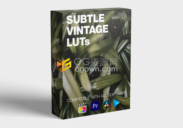 Subtle Vintage LUT Pack复古电影VCR效果调色预设免费下载