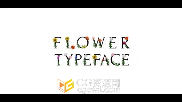 AE模板-花卉动画字体创建婚礼标题情人节背景文字介绍