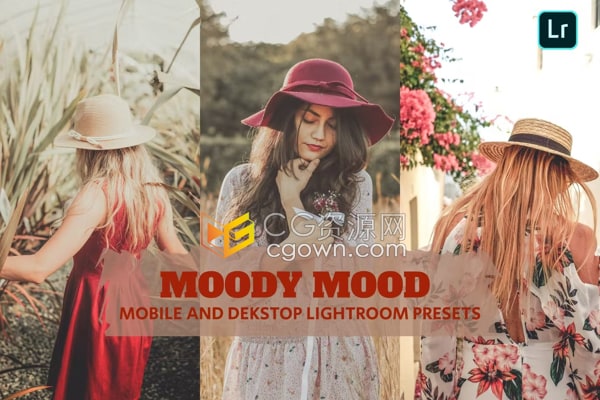 照片明亮更多细节化LR预设Moody Mood Lightroom Presets