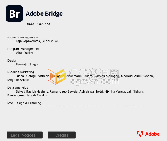 Adobe Bridge 2022 v12.0.3 苹果Mac版本下载