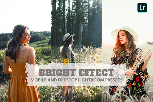 7组照片调色明亮效果Lightroom预设包括DNG/XMP格式