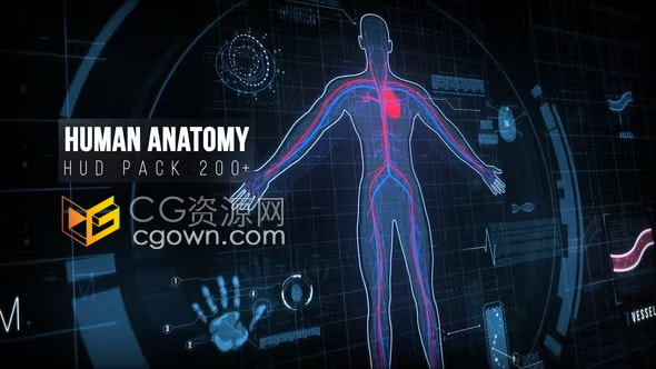 Human Anatomy HUD 200+种科技人体解剖学动画UI界面元素AE模板