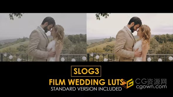索尼相机SLOG3婚礼视频调色LUTs预设25组