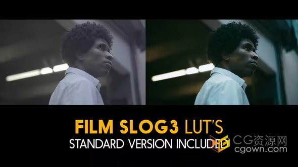 20个索尼Slog3和标准电影LUTs预设文件下载