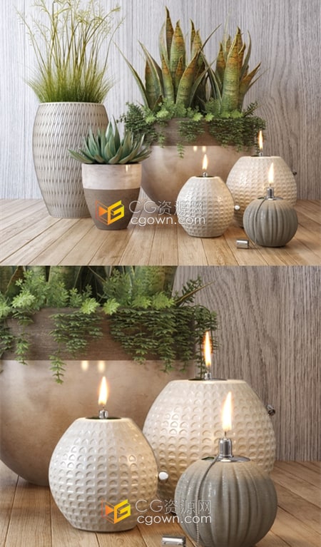 Crate&Barrel 盆栽植物装饰套装3ds Max三维模型
