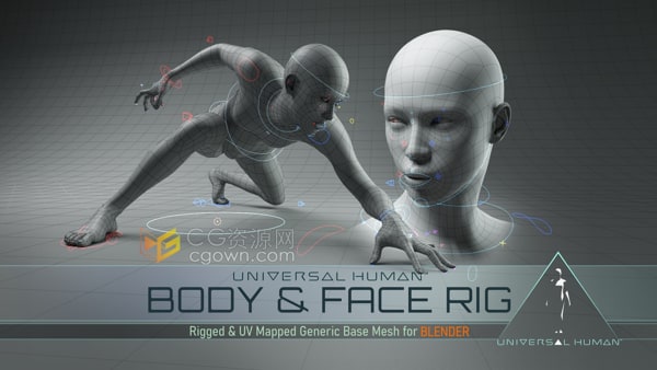 Universal Human Body & Face Rig人体和面部绑定Blender插件
