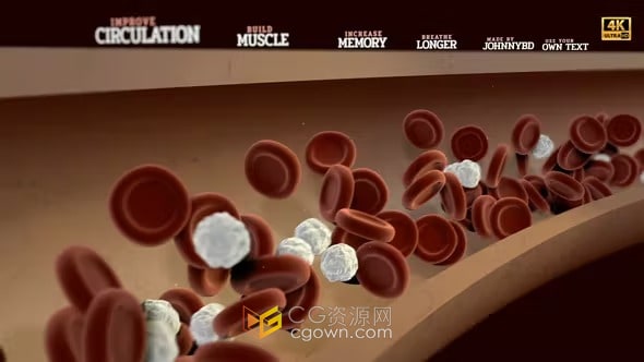 AE模板-医学血流说明介绍3D视频血管病毒血液细胞显微镜下特写镜头