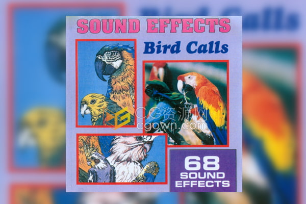 68种鸟叫声自然鸟兽音效素材供下载