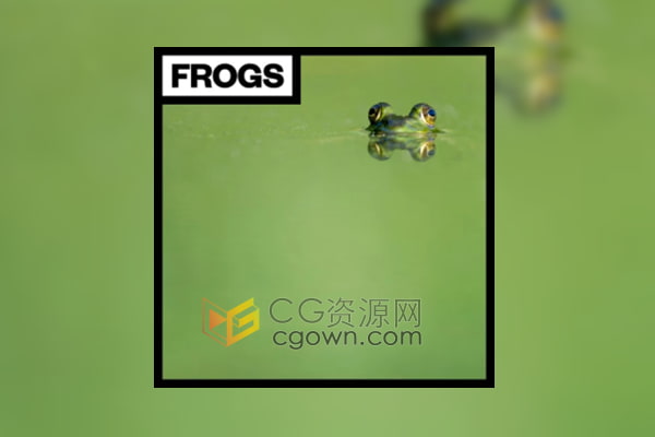 免费下载池塘沼泽环境蟋蟀青蛙的叫声