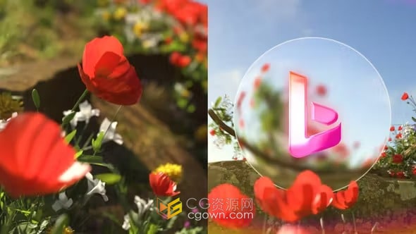 AE模板-美丽自然花海标志揭晓Flower Spring Logo Reveal