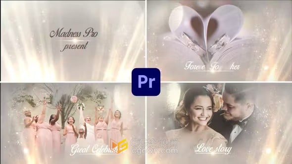 高端大气优雅晚会庆典仪式包装浪漫婚礼视频相册-PR模板