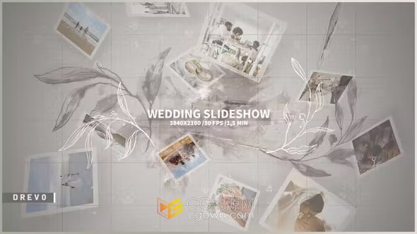 AE模板-带阴影花纹花卉生长动画相册婚礼幻灯片