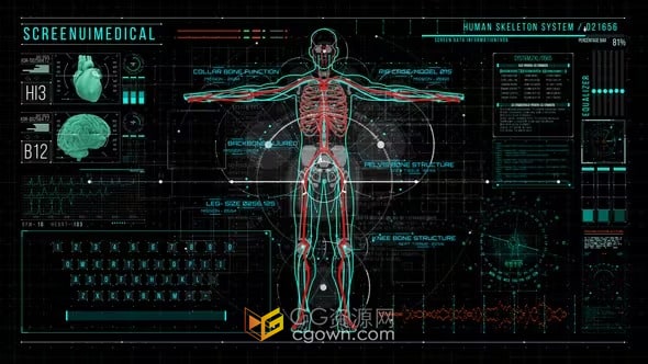 人体HUD700屏幕界面AI医疗医学主题元素-AE模板