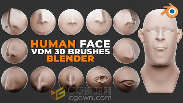 Blender插件Human Face Vdm Brushes人脸五官VDM笔刷预设工具