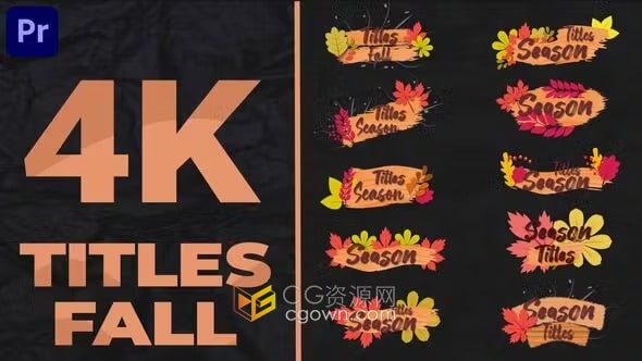 10个秋季主题自然花卉叶子装饰动画标题-PR模板