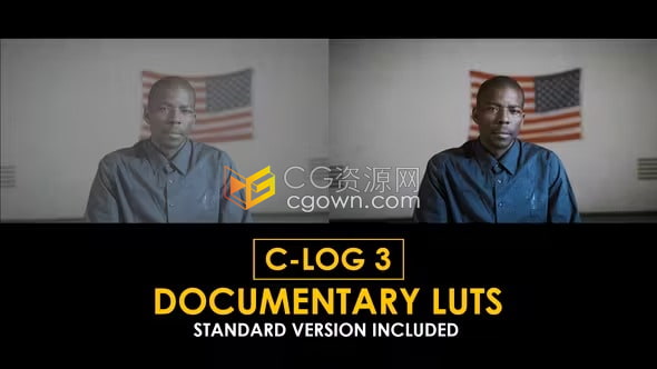 20个纪录片调色Canon C-Log3 和标准LUT预设免费下载