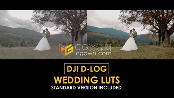 142个 DJI D-Log Wedding LUT婚礼调色预设下载
