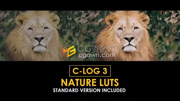 20个Canon C-Log3 自然色彩和标准 LUT调色预设