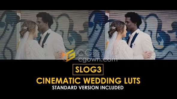 15个Slog3 电影婚礼调色和标准颜色 LUT免费下载
