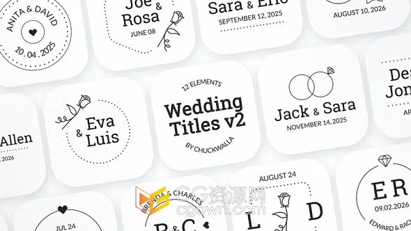 12种简约线条装饰动画复古风格新郎新娘名字婚礼标题-AE模板