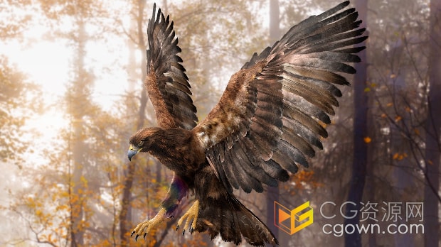 3D模型-金雕老鹰带索具绑定可以折叠翅膀