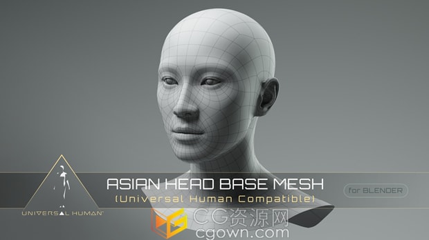 Blender模型Universal Human Asian Head Base Mesh 2.1通用亚洲人头部建模