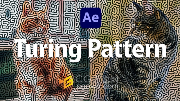 AE插件Turing Pattern v1.1生成图灵图案纹理效果