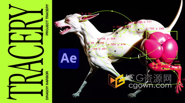 AE插件Tracery v1.0自动跟踪对象生成视觉图形叠加层