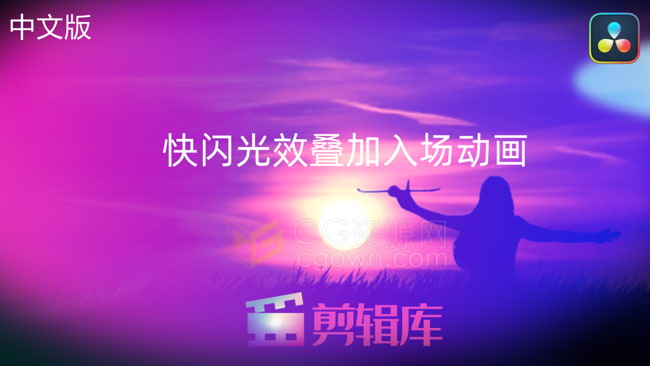 中文版本达芬奇插件-12种快闪光效闪烁漏光效果叠加入场动画