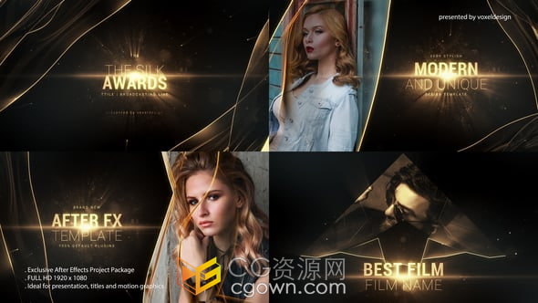 周年晚会活动颁奖典礼宣传视频动画-AE模板