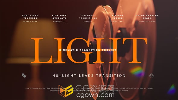 DR達(dá)芬奇模板-動(dòng)態(tài)發(fā)光效果和膠片風(fēng)格40多個(gè)獨(dú)特的漏光過渡