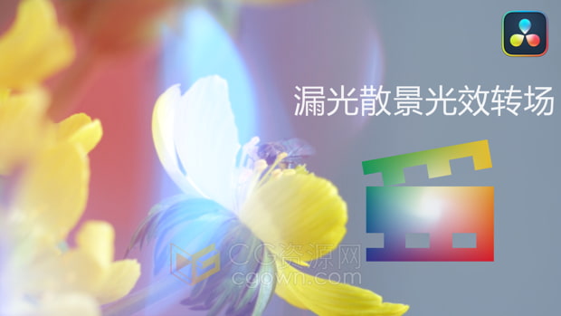 中文版达芬奇插件-5种漏光散景光效转场过渡效果Davinci Resolve