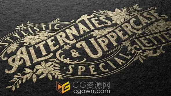 4种纸质效果展示公司品牌LOGO动画视频-AE模板